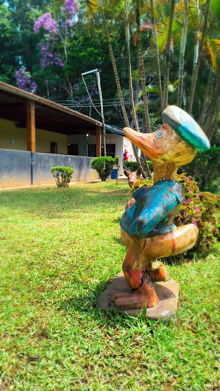 Decoração do jardim