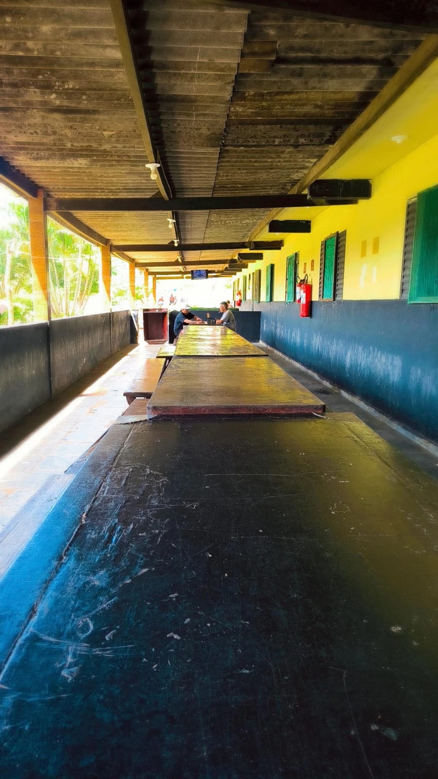 Trilha em meio à natureza